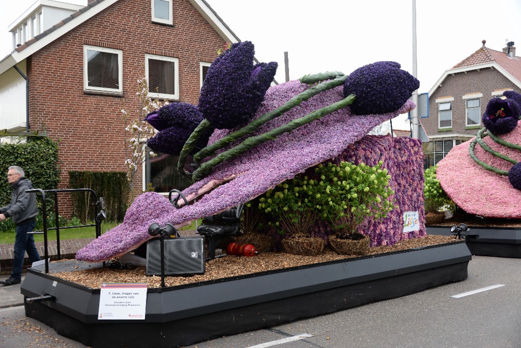 ../Images/Bloemencorso Noordwijkerhout 042.jpg